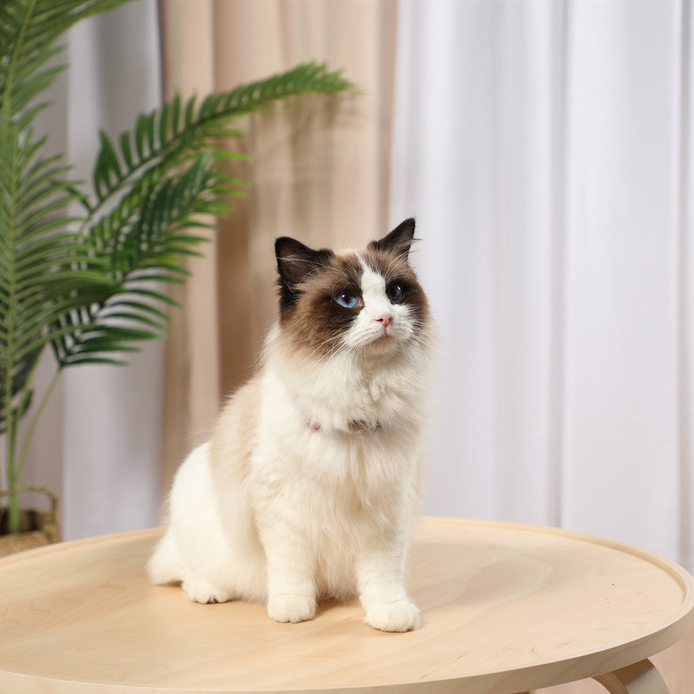 Interactive Cat Toy,Automatic Cat Toy