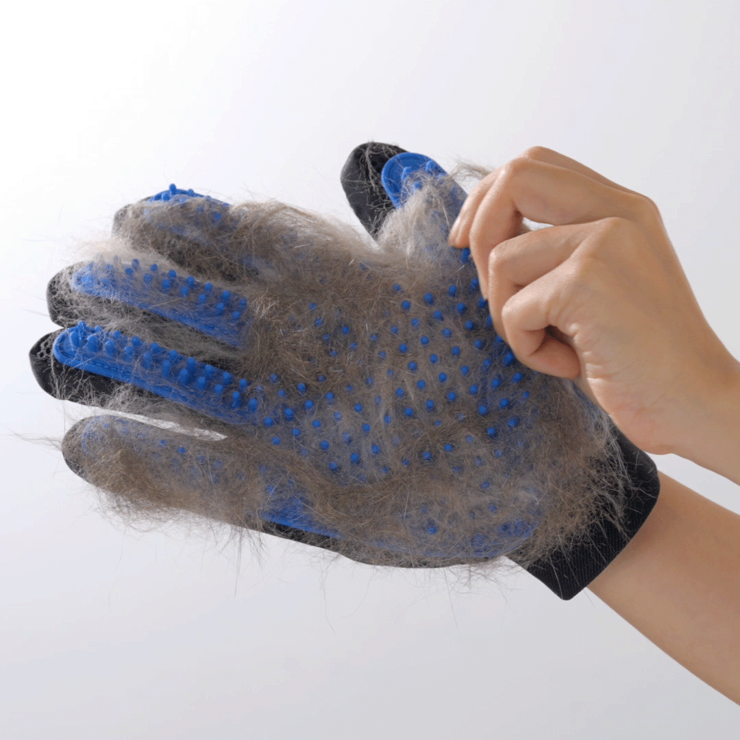 Zoe - Pet Grooming Gloves