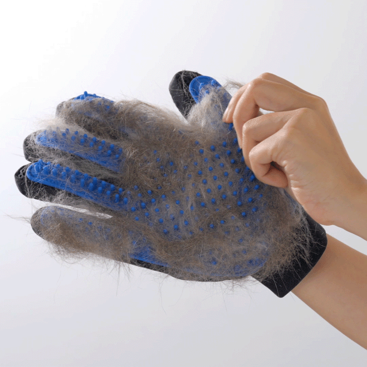 Zoe - Pet Grooming Gloves