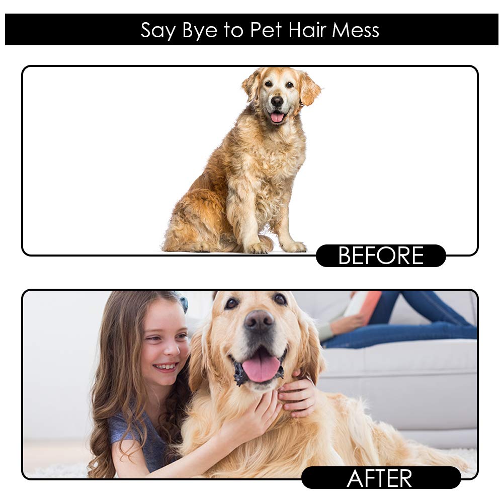 Why It Is Important to Clean Your Pet’s Hair