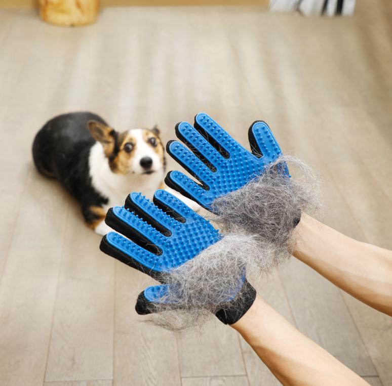 How to keep pet hair under control