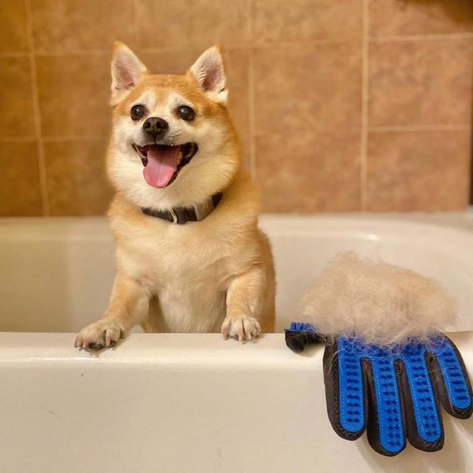 How To Get Pet Hair Out Of Laundry DELOMO how-to-get-pet-hair-out-of-laundry-delomo