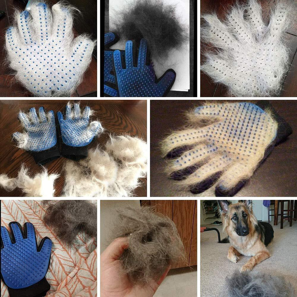 How to make grooming easier with DELOMO pet grooming glove?