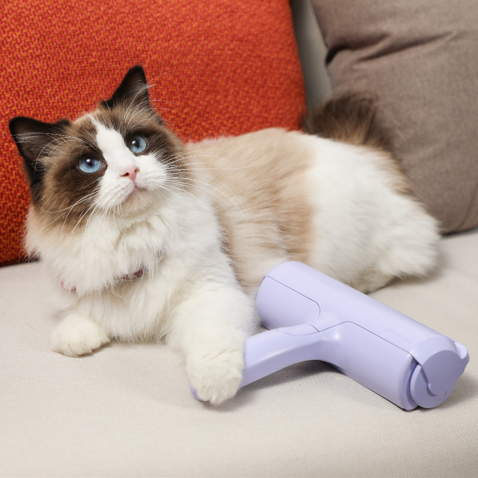 Delomo pet hair remover hotsell