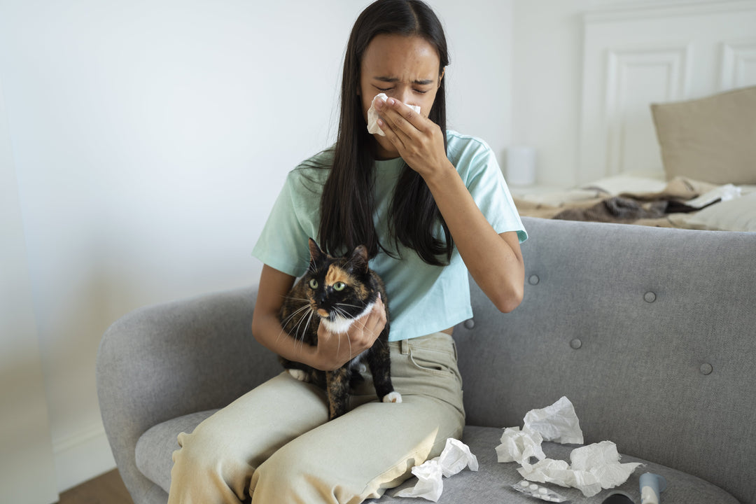 More Than Just Fur: How Pet Dander Could Be Affecting Your Family’s Health