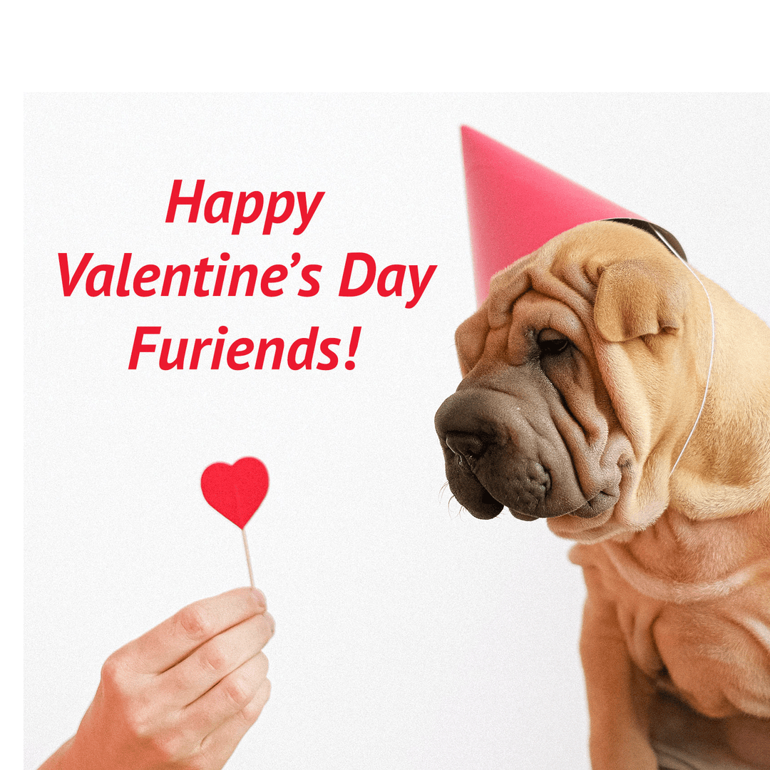 Valentine's Day Safety Tips for Our Beloved Pets