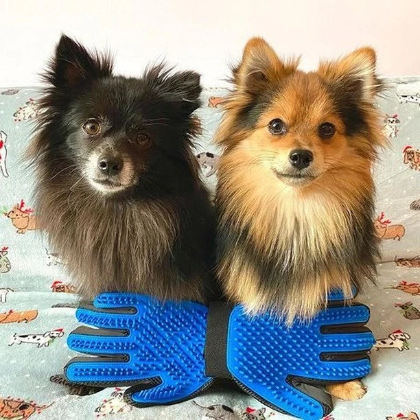 Pet Grooming Tools for Dogs & Cats | Delomo – DELOMO