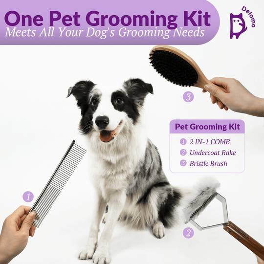 Delomo Pet Hair Removers & Gloves One Million Customers' Choice