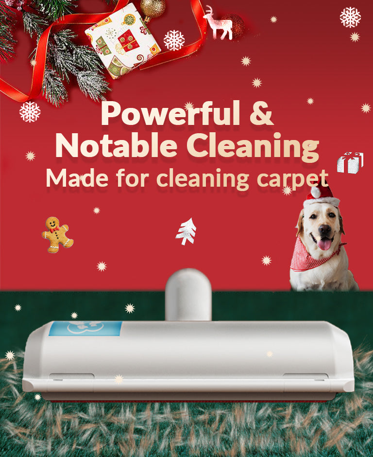 Delomo Pet Hair Removers & Gloves One Million Customers' Choice