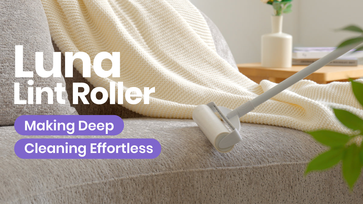 Pet Hair Removers & Grooming Tools | Delomo – DELOMO