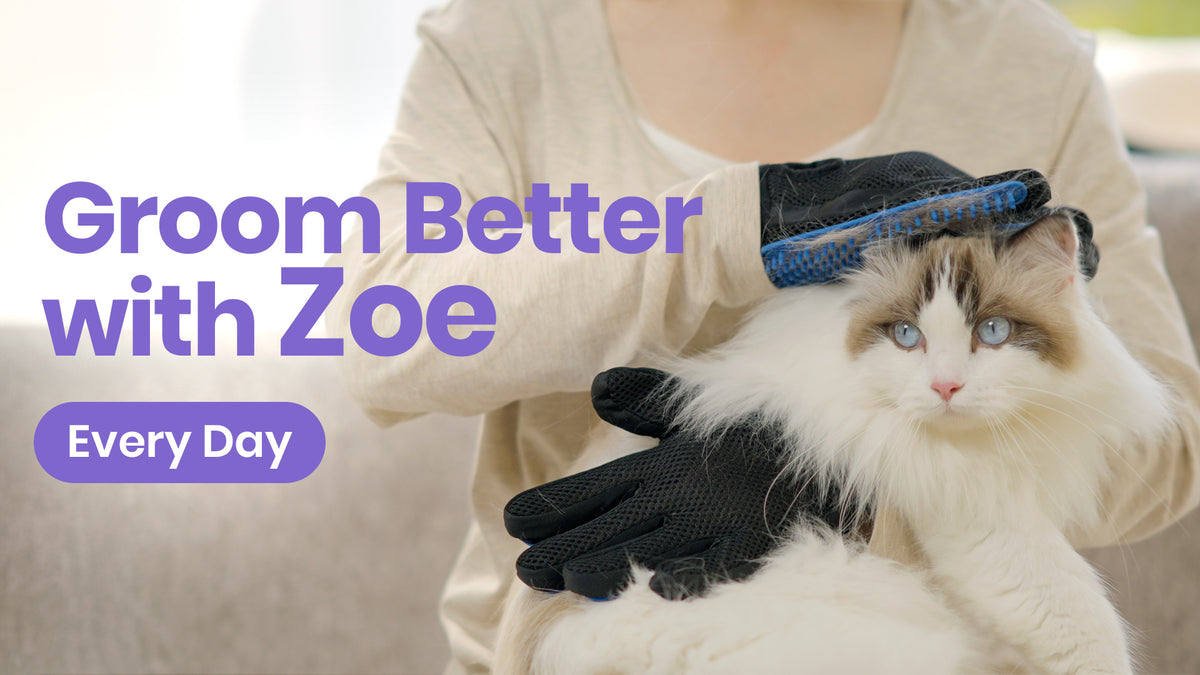 Pet Hair Removers & Grooming Tools | Delomo – DELOMO