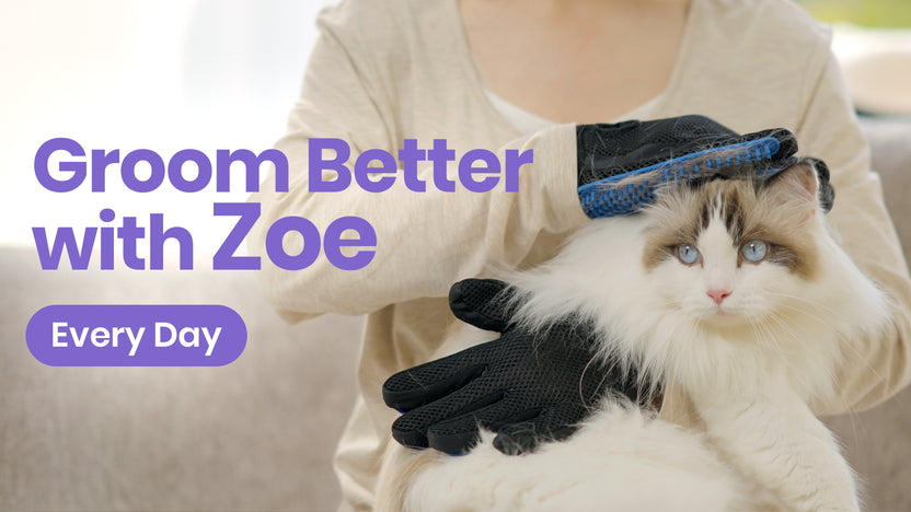 Pet Hair Removers & Grooming Tools | Delomo – DELOMO